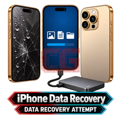 iPhone Data Recovery — DATA RECOVERY ATTEMPT