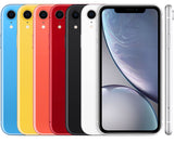 iPhone XR front and back views