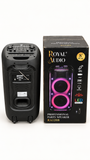 Royal Audio RA1208 actual rear unit beside the matching dual 8-inch retail box